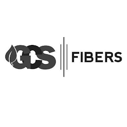 GCS FIBERS logo