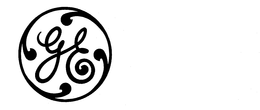 G.E. logo