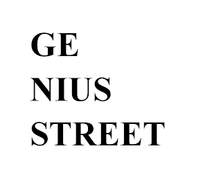 GE NIUS STREET logo