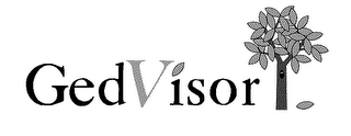 GEDVISOR logo