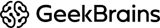 GEEKBRAINS logo