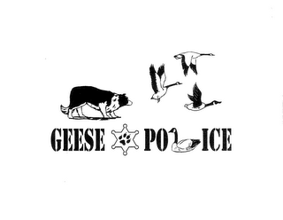GEESE POLICE logo