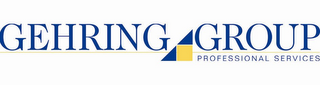 GEHRING GROUP PROFESSIONAL SERVICES logo