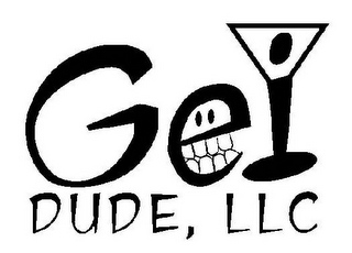GEI DUDE, LLC logo