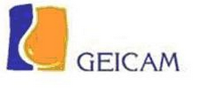 GEICAM logo