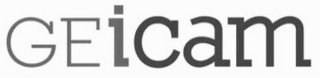 GEICAM logo