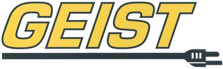 GEIST logo