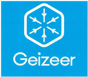 GEIZEER logo