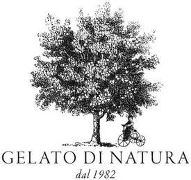 GELATO DI NATURA DAL 1982 logo