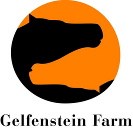 GELFENSTEIN FARM logo