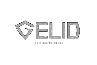 GELID WHERE CHAMPIONS ARE MADE ! logo