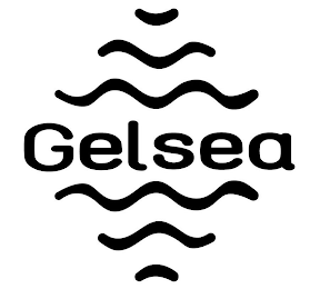 GELSEA logo