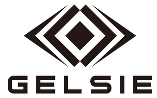 GELSIE logo