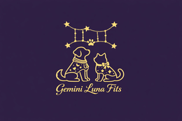 GEMINI LUNA FITS logo