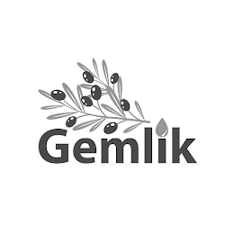 GEMLIK logo
