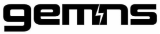 GEMNS logo