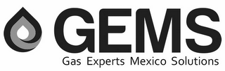 GEMS GAS EXPERTS MEXICO SOLUTIONS logo
