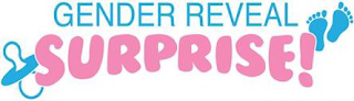 GENDER REVEAL SURPRISE! logo