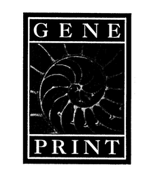 GENE PRINT logo