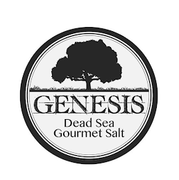 GENESIS DEAD SEA GOURMET SALT logo