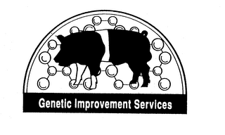 GENETIC IMPROVEMENT SERVICES logo
