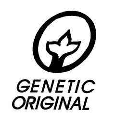 GENETIC ORIGINAL logo