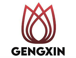 GENGXIN logo