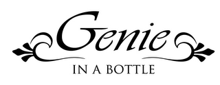 GENIE IN A BOTTLE logo