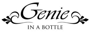 GENIE IN A BOTTLE logo