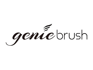 GENIEBRUSH logo