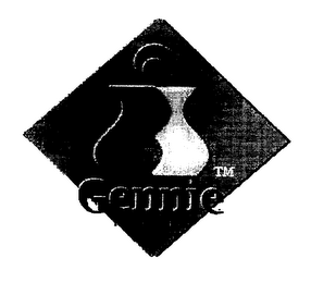 GENNIE MICROSYSTEM logo
