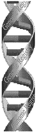 GENOME REGISTRY logo
