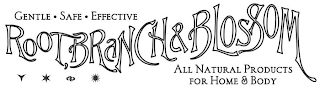 GENTLE · SAFE · EFFECTIVE ROOT, BRANCH & BLOSSOM ALL NATURAL PRODUCTS FOR HOME & BODY logo