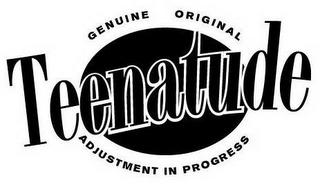 GENUINE ORIGINAL TEENATUDE ADJUSTMENT IN PROGRESS logo