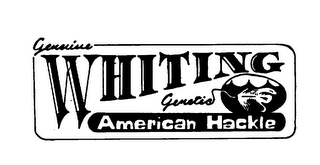 GENUINE WHITING GENETIC AMERICAN HACKLE logo