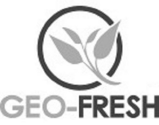 GEO-FRESH logo