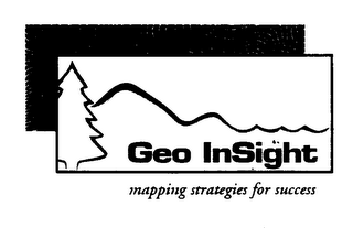 GEO INSIGHT MAPPING STRATEGIES FOR SUCCESS logo