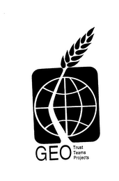 GEO TRUST TEAMS PROJECTS logo