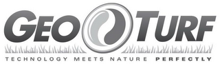 GEO TURF TECHNOLOGY MEETS NATURE PERFECTLY logo