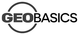 GEOBASICS logo
