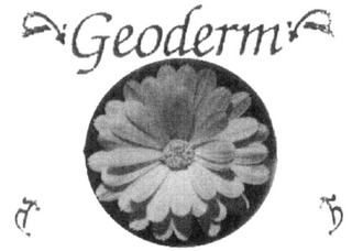 GEODERM logo