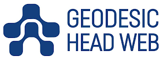 GEODESIC HEAD WEB logo