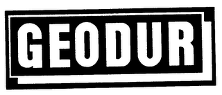 GEODUR logo