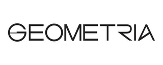 GEOMETRIA logo