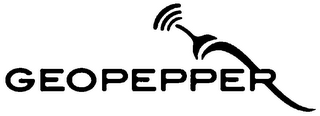 GEOPEPPER logo