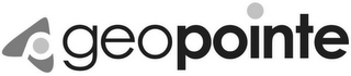 GEOPOINTE logo
