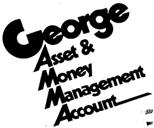 GEORGE ASSET & MONEY MANAGEMENT ACCOUNT logo