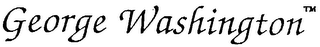 GEORGE WASHINGTON logo