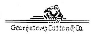 GEORGETOWN COTTON & CO. logo