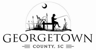 GEORGETOWN COUNTY, SC logo